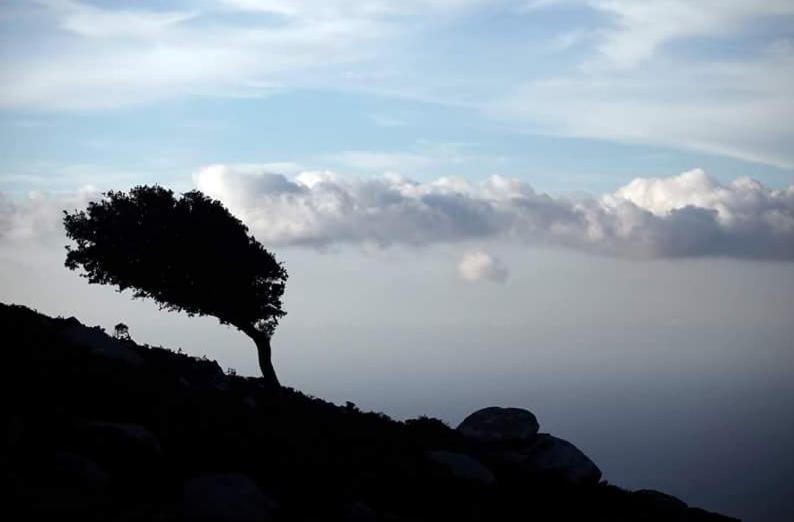 Ikaria Studios Manganítis 外观 照片
