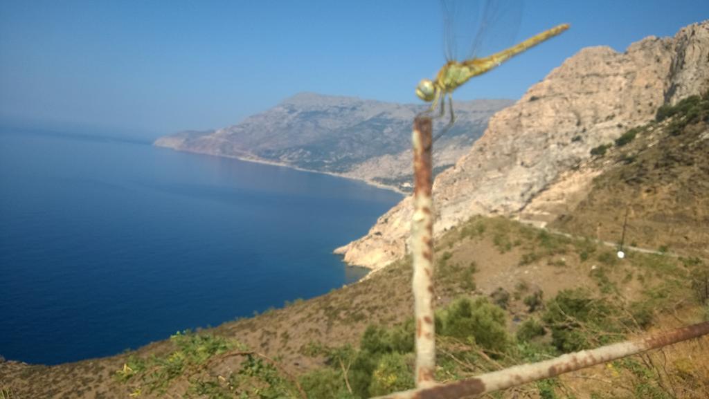 Ikaria Studios Manganítis 外观 照片